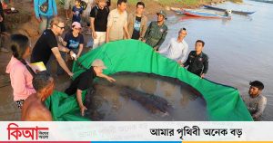 বিশ্বের বৃহত্তম মাছটিকে কেন কেউ এখনো ধরতে পারল না