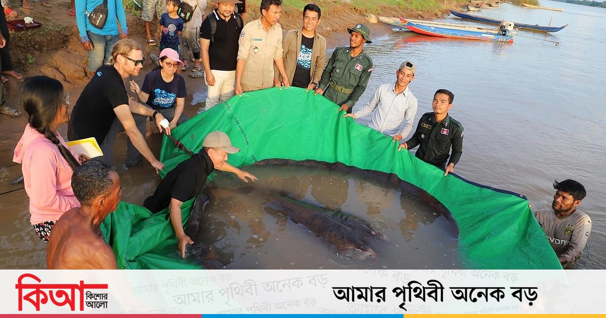 বিশ্বের বৃহত্তম মাছটিকে কেন কেউ এখনো ধরতে পারল না